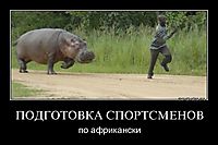 ПОДГОТОВКА СПОРТСМЕНОВ по африкански
