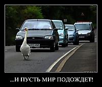 ...И ПУСТЬ МИР ПОДОЖДЕТ! 