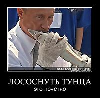 ЛОСОСНУТЬ ТУНЦА