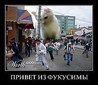 ПРИВЕТ ИЗ ФУКУСИМЫ 