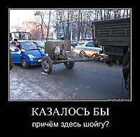 КАЗАЛОСЬ БЫ причём здесь шойгу?