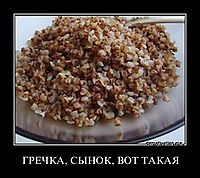 ГРЕЧКА, СЫНОК, ВОТ ТАКАЯ 