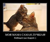МОЯ МАМА САМАЯ ЛУЧШАЯ! Любящий сын Андрей.:)