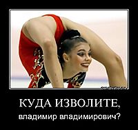 КУДА ИЗВОЛИТЕ, владимир владимирович?
