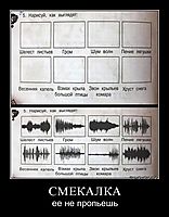 СМЕКАЛКА ее не пропьешь