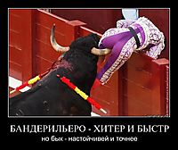 БАНДЕРИЛЬЕРО - ХИТЕР И БЫСТР но бык - настойчивей и точнее