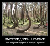 БЫСТРЕЕ ДЕРЕВЬЯ СЪЕБУТ! чем потушат торфяные пожары в рашке