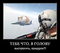 ТЕБЕ ЧТО, В ГОЛОВУ выстрелить, придурок?!