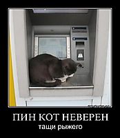ПИН КОТ НЕВЕРЕН тащи рыжего