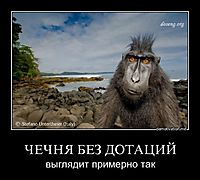 ЧЕЧНЯ БЕЗ ДОТАЦИЙ выглядит примерно так