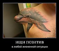 ИЩИ ПОЗИТИВ в любой жизненной ситуации
