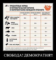 СВОБОДА? ДЕМОКРАТИЯ?! 
