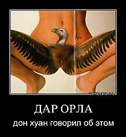 ДАР ОРЛА дон хуан говорил об этом