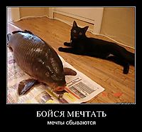 БОЙСЯ МЕЧТАТЬ мечты сбываются