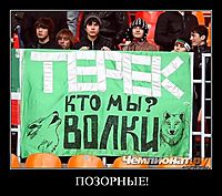 ПОЗОРНЫЕ! 