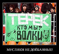 МУСЛИКИ НЕ ДОЁБАННЫЕ! 