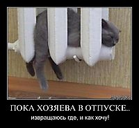 ПОКА ХОЗЯЕВА В ОТПУСКЕ.. извращаюсь где, и как хочу!