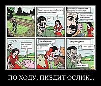 ПО ХОДУ, ПИЗДИТ ОСЛИК... 