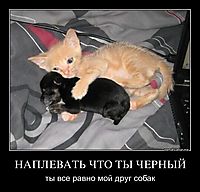 НАПЛЕВАТЬ ЧТО ТЫ ЧЕРНЫЙ ты все равно мой друг собак