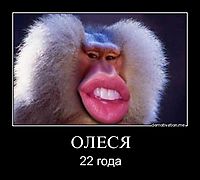 ОЛЕСЯ 22 года