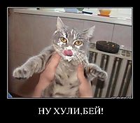 НУ ХУЛИ,БЕЙ! 