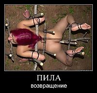 ПИЛА возвращение