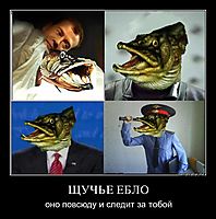 ЩУЧЬЕ ЕБЛО