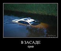 В ЗАСАДЕ сука