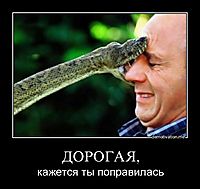 ДОРОГАЯ, кажется ты поправилась