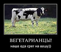 ВЕГЕТАРИАНЦЫ! наша еда срет на вашу))