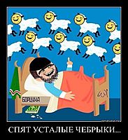 СПЯТ УСТАЛЫЕ ЧЕБРЫКИ... 