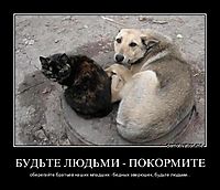 БУДЬТЕ ЛЮДЬМИ - ПОКОРМИТЕ оберегайте братьев наших младших - бедных зверюшек, будьте людьми...