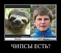 ЧИПСЫ ЕСТЬ? 