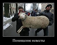 Похищение невесты 