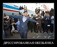 ДРЕССИРОВАННАЯ ОБЕЗЬЯНКА 