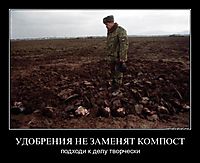 УДОБРЕНИЯ НЕ ЗАМЕНЯТ КОМПОСТ подходи к делу творчески