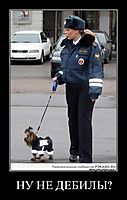 НУ НЕ ДЕБИЛЫ? 