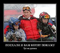 ПОЕХАЛИ Я ВАМ КОТЯТ ПОКАЖУ Тут не далеко