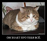 ОН ЗНАЕТ ПРО ТЕБЯ ВСЁ. 