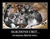 ВЫКЛЮЧИ СВЕТ... не видишь братва спит...