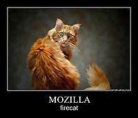 MOZILLA firecat