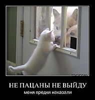НЕ ПАЦАНЫ НЕ ВЫЙДУ меня предки наказали