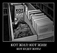 КОТ ЖИЛ! КОТ ЖИВ! КОТ БУДЕТ ЖИТЬ!