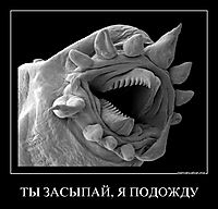 ТЫ ЗАСЫПАЙ, Я ПОДОЖДУ