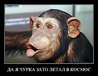 ДА Я ЧУРКА ЗАТО ЛЕТАЛ В КОСМОС 