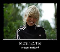 МОЗГ ЕСТЬ? а если найду?