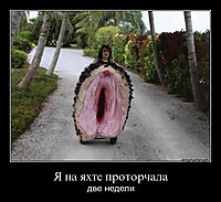 Я на яхте проторчала две недели