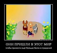 ОНИ ПРИШЛИ В ЭТОТ МИР чтобы принести ещё больше боли и страданий
