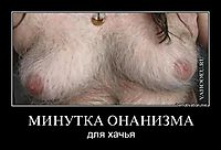 МИНУТКА ОНАНИЗМА для хачья