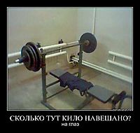 СКОЛЬКО ТУТ КИЛО НАВЕШАНО? на глаз